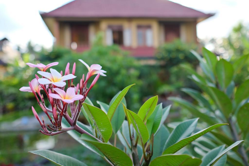 Pondok Ayu Soca Ubud Dış mekan fotoğraf