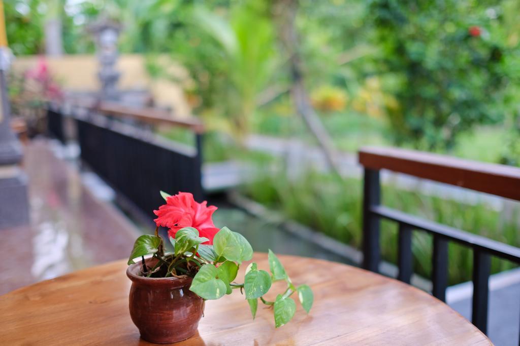 Pondok Ayu Soca Ubud Dış mekan fotoğraf
